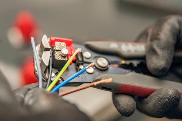 Best Electrical Repair Services  in Cheval, FL