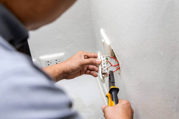 Best Commercial Electrician Services  in Cheval, FL