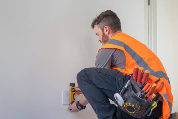 Best Local Electrician Companies  in Cheval, FL