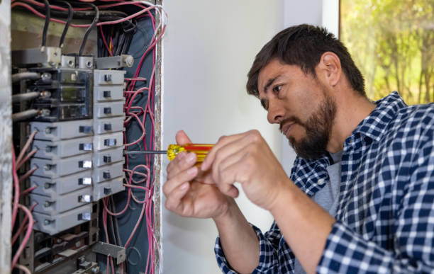 Best Electric Panel Repair  in Cheval, FL